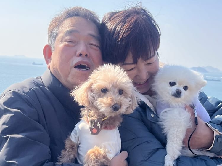 아르프, 영동하늘전망대