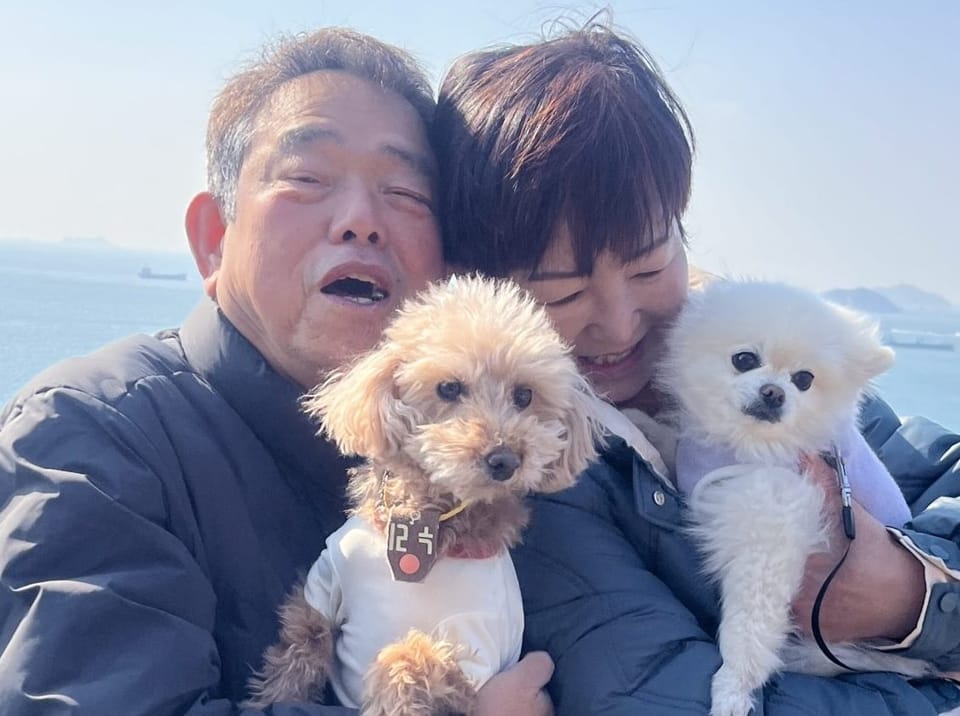 아르프, 영동하늘전망대